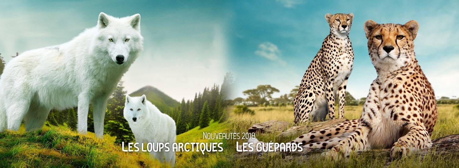 ZooParc de Beauval - Culture, loisirs, action sociale et ...